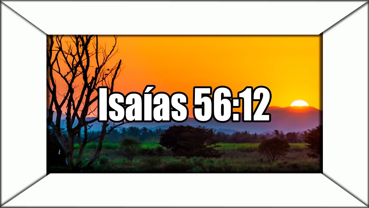 la biblia dice que tomemos