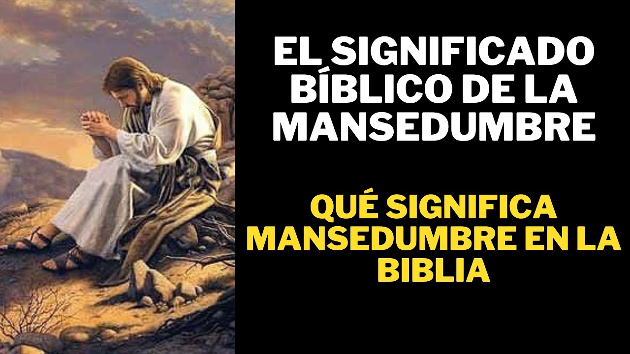 que es mansedumbre en la biblia