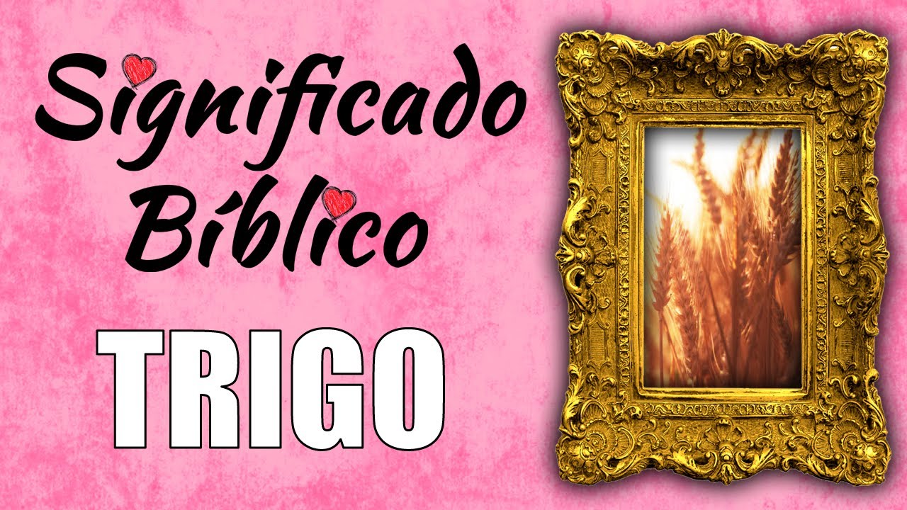 que significa trigo vino y aceite en la biblia