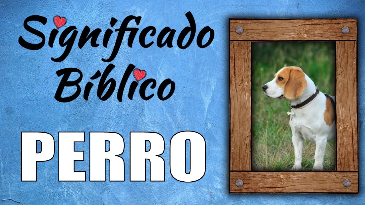 que significado tiene el perro en la biblia