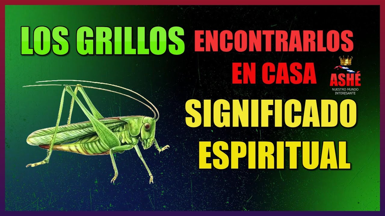 que significan los grillos en la biblia