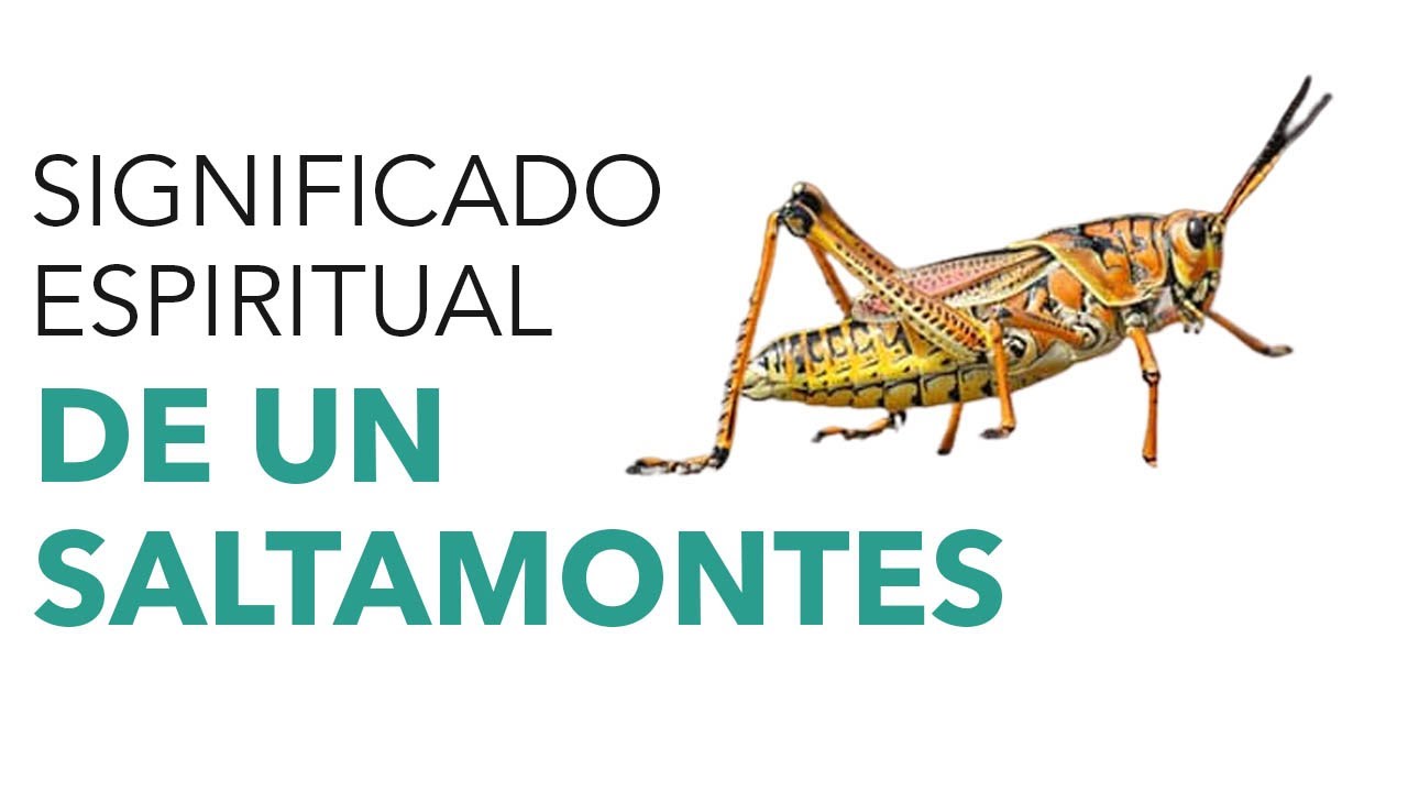 significado de saltamontes en la biblia