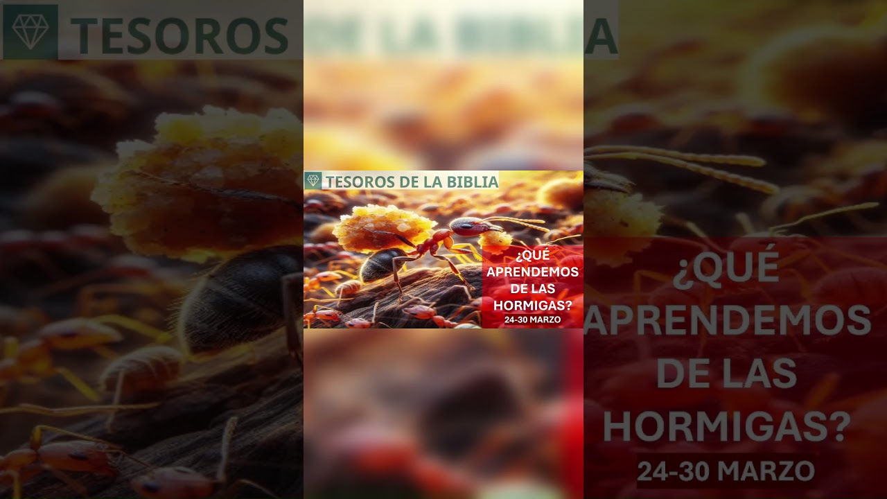 discurso de tesoros de la biblia