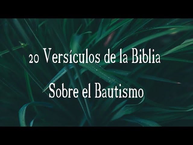 frases de la biblia para bautizo