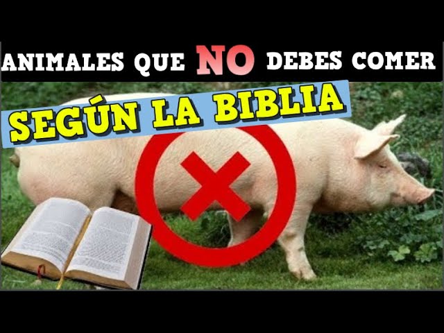 los animales que no se deben comer segun la biblia