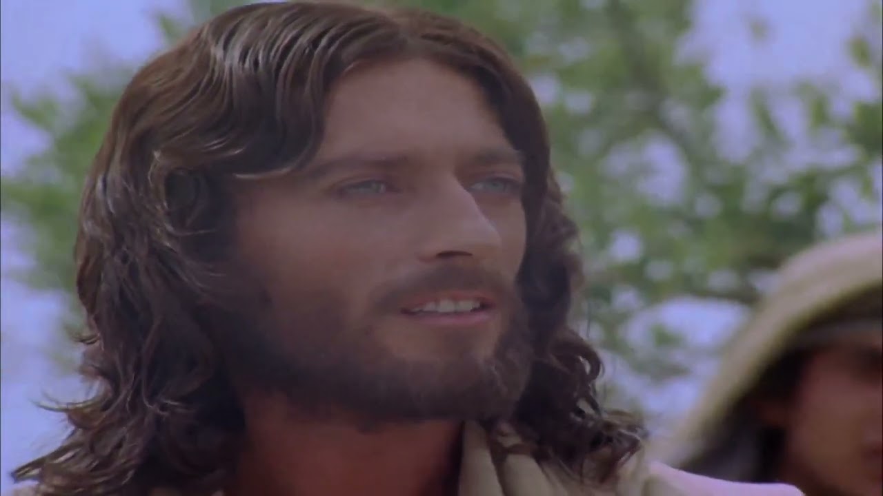 mirad los lirios del campo biblia catolica