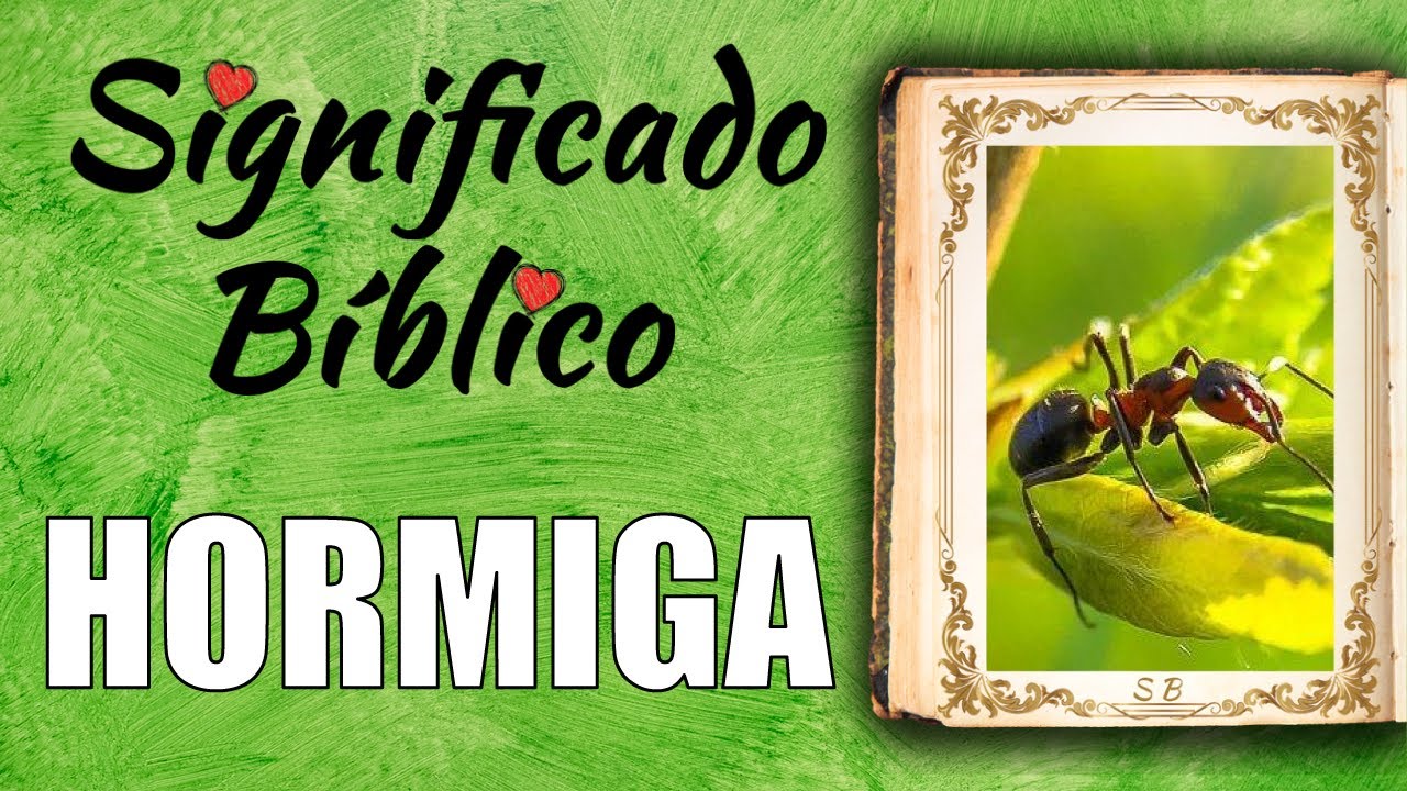 que dice la biblia sobre las hormigas