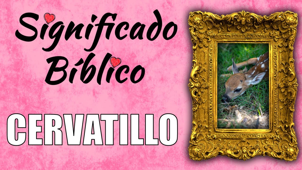 que significa cervatillo en la biblia