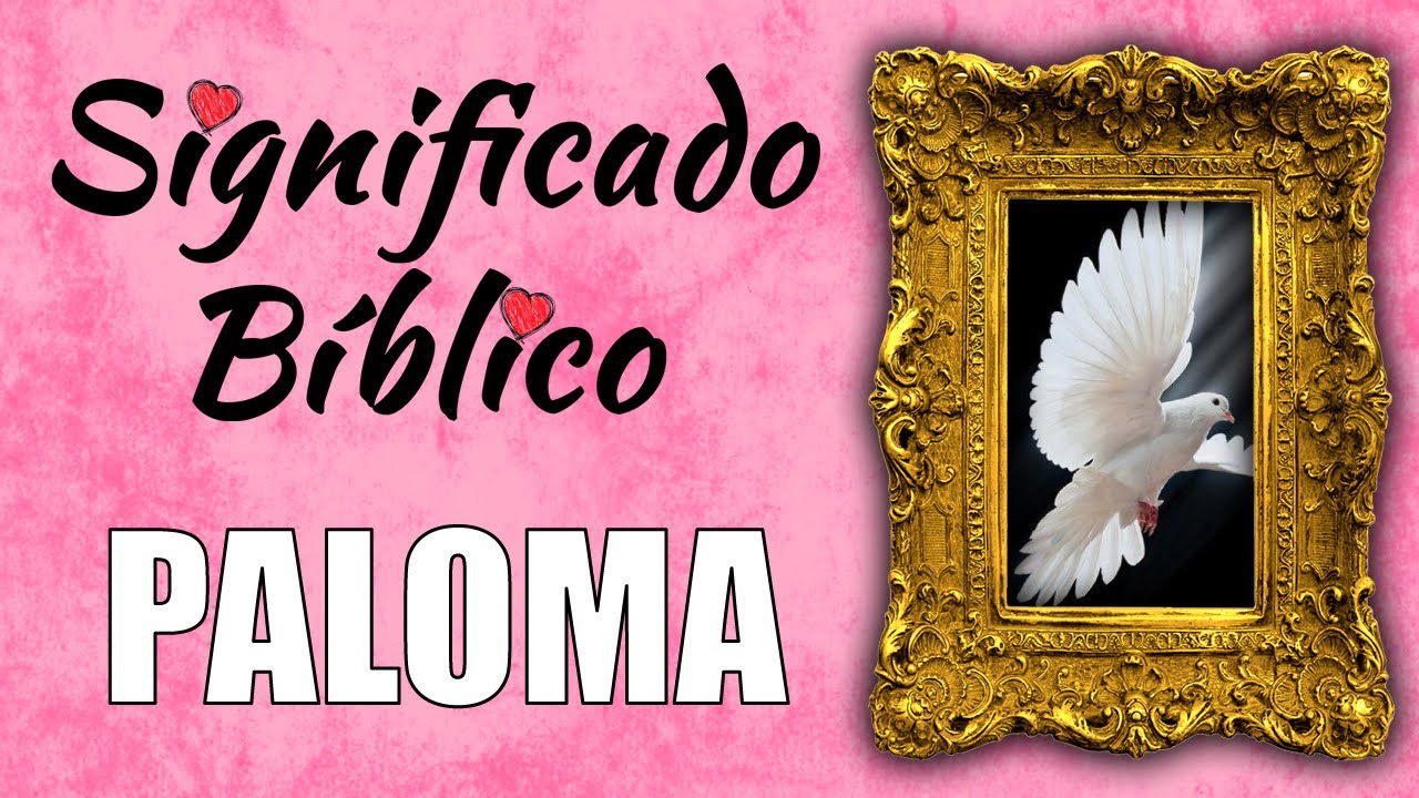 que significado tiene la paloma en la biblia