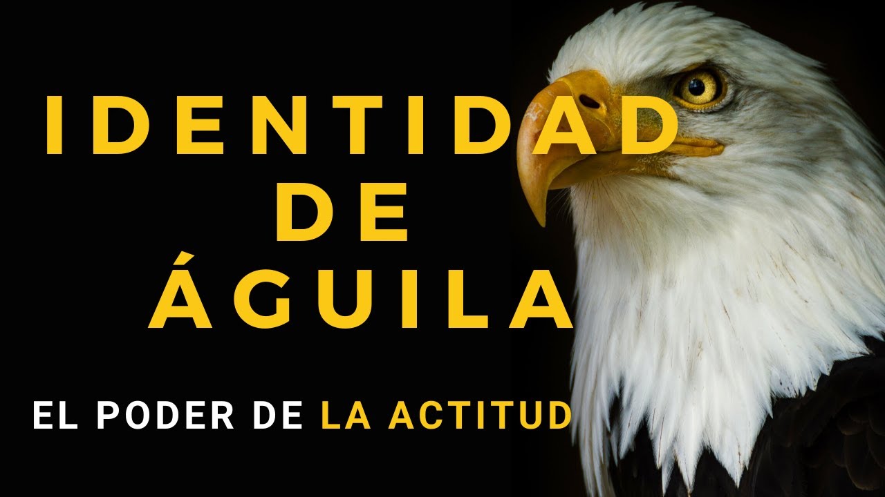 virtudes del aguila segun la biblia