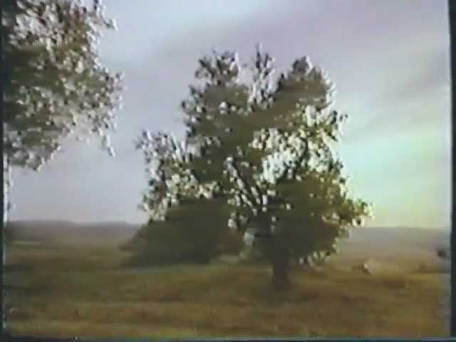 y la biblia tenia razon