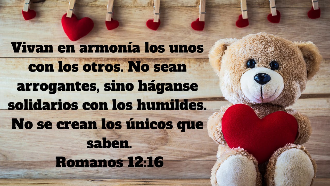 citas biblicas sobre la fraternidad biblia catolica