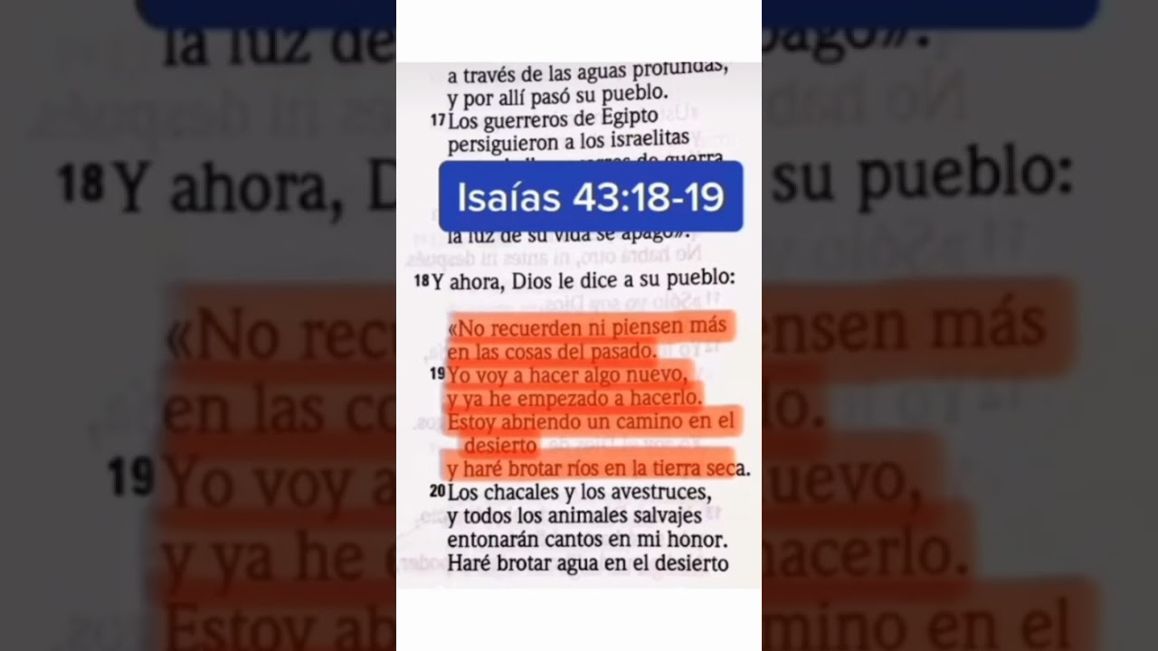 el centro de la biblia impresionante