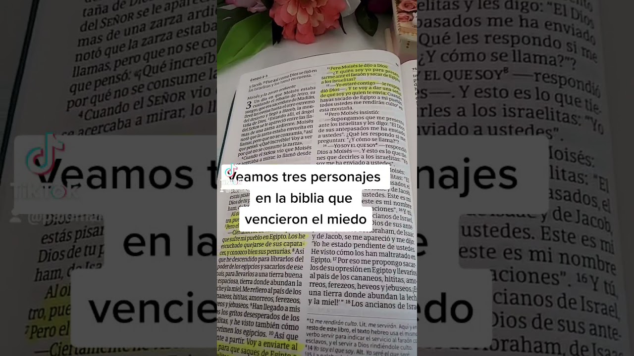 personajes de la biblia que vencieron el temor