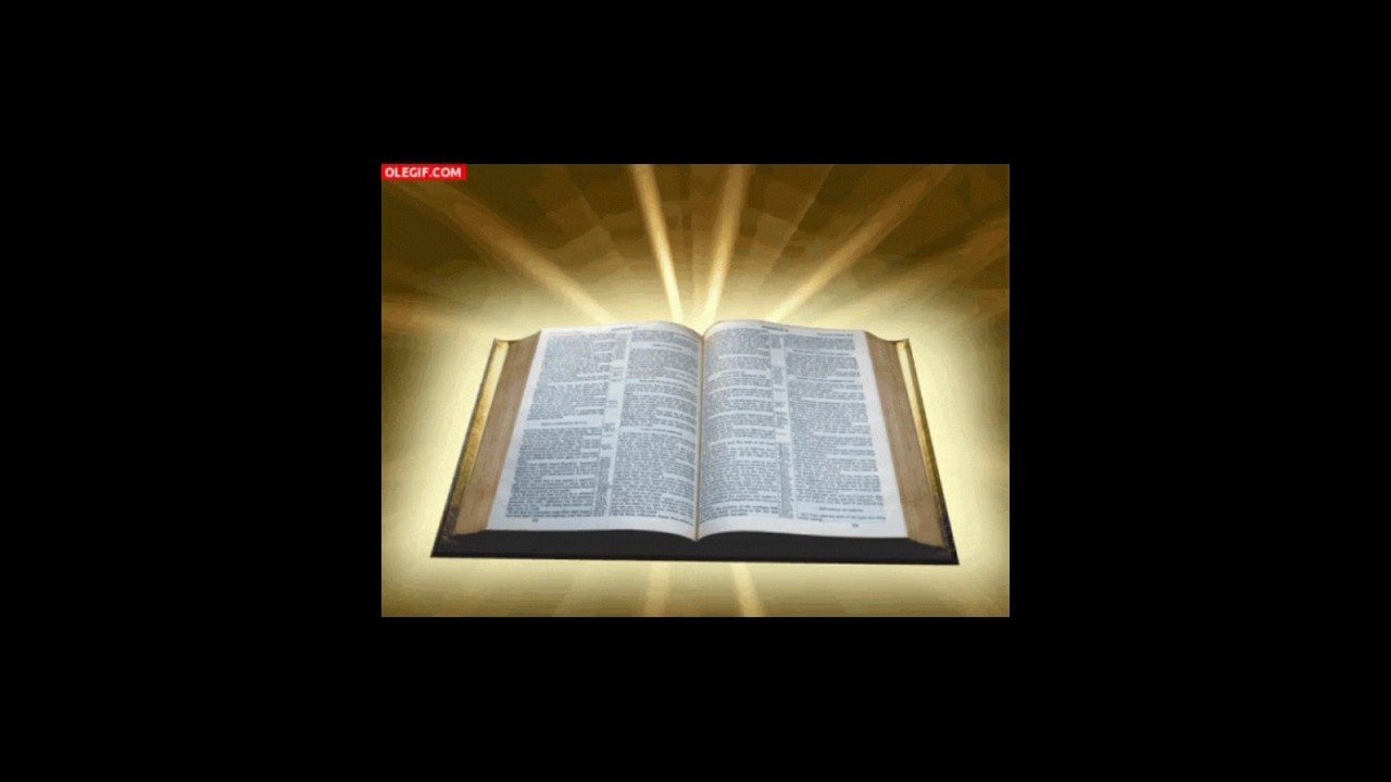 porque la biblia se divide en antiguo y nuevo testamento