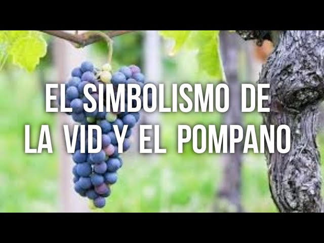 que es pampano en la biblia