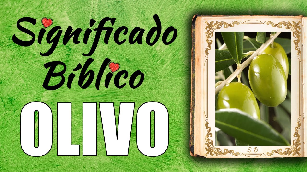 que representa el olivo en la biblia