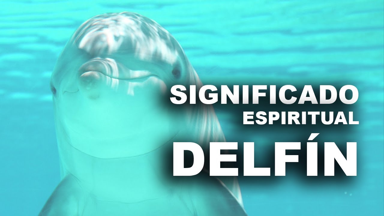 que significa el delfín en la biblia