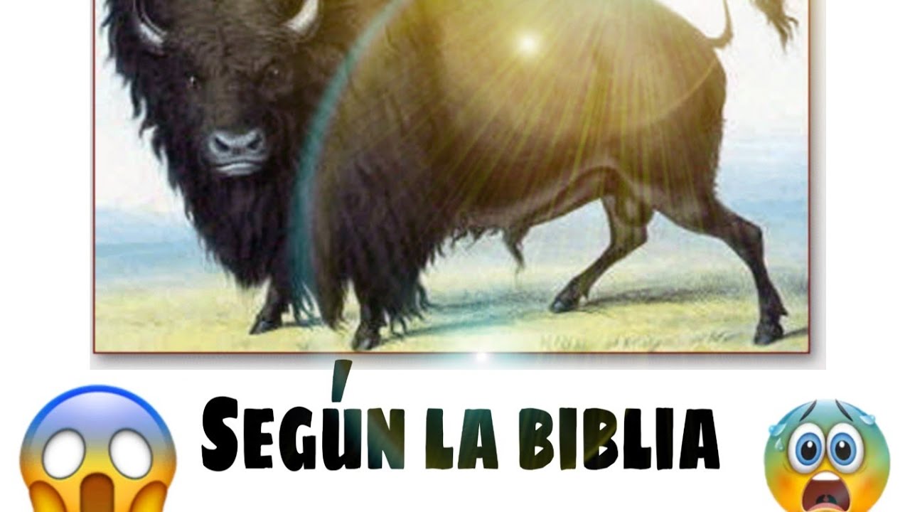 que simboliza el bufalo en la biblia