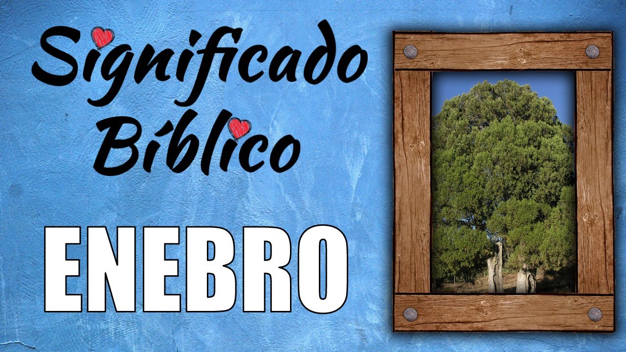 significado del arbol de enebro en la biblia