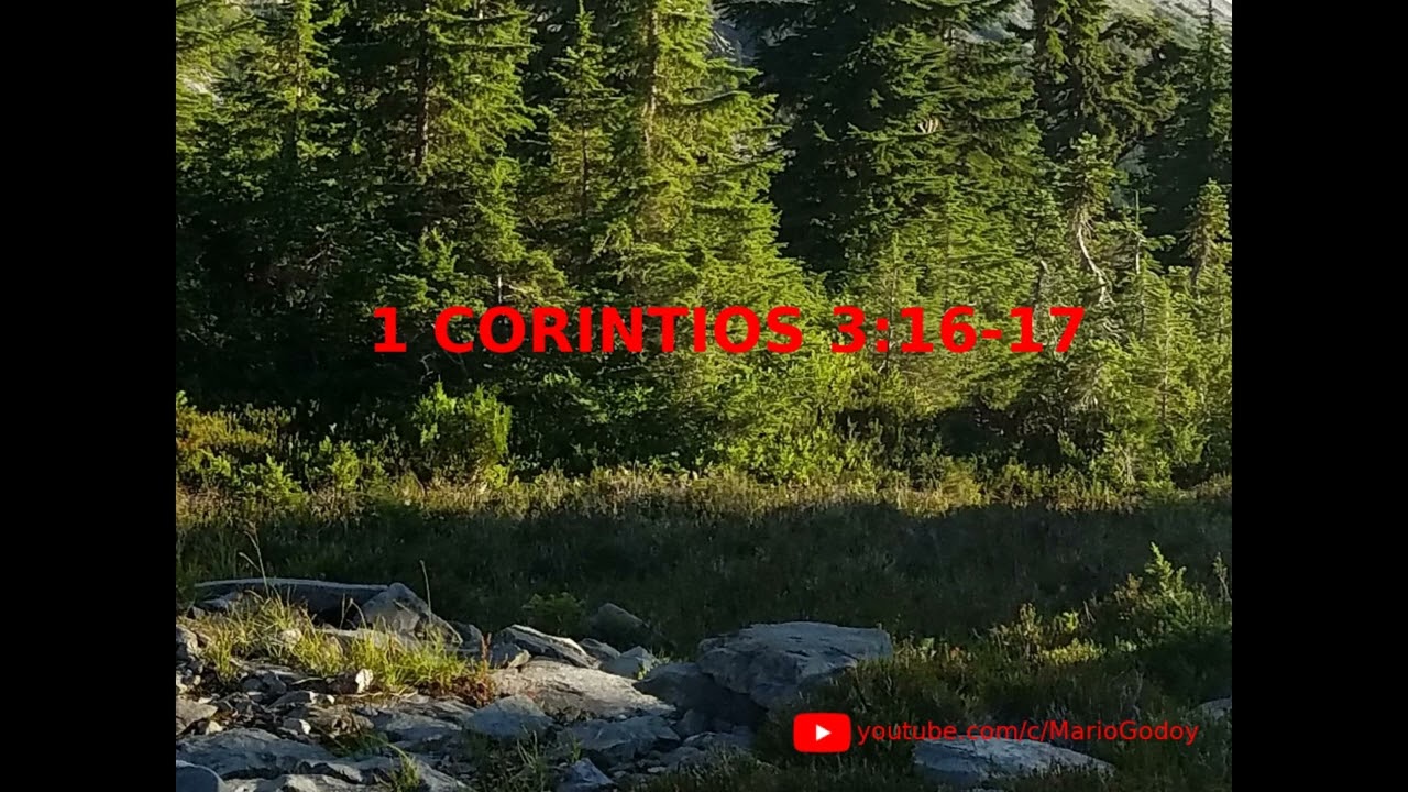 corintios 3 16 17 biblia catolica
