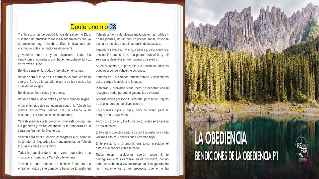 deuteronomio 28 biblia de jerusalen