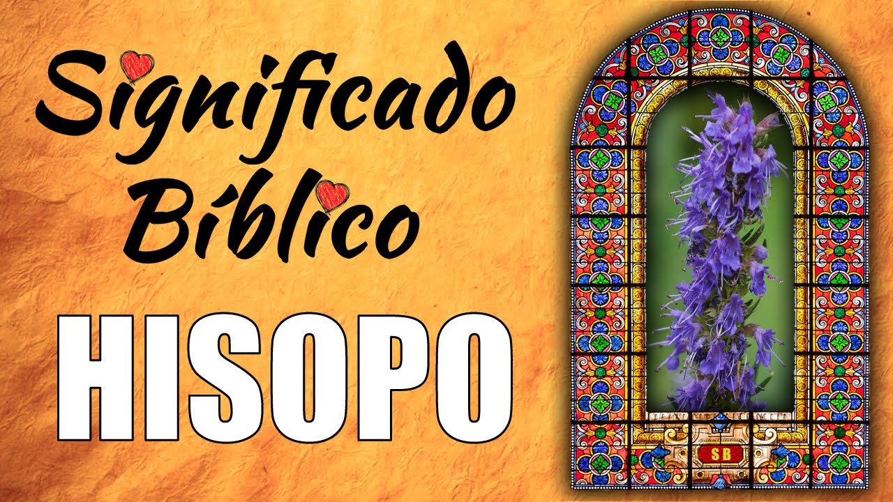 que es hisopo en la biblia