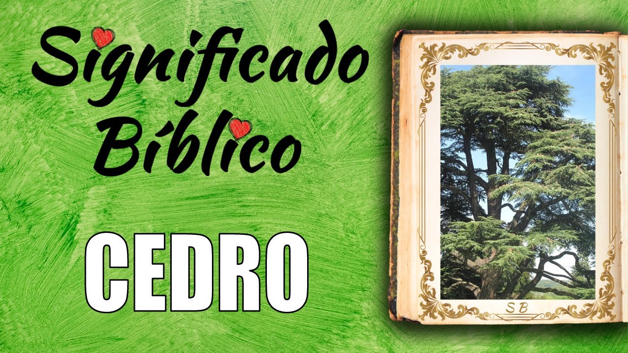 que representa el cedro en la biblia