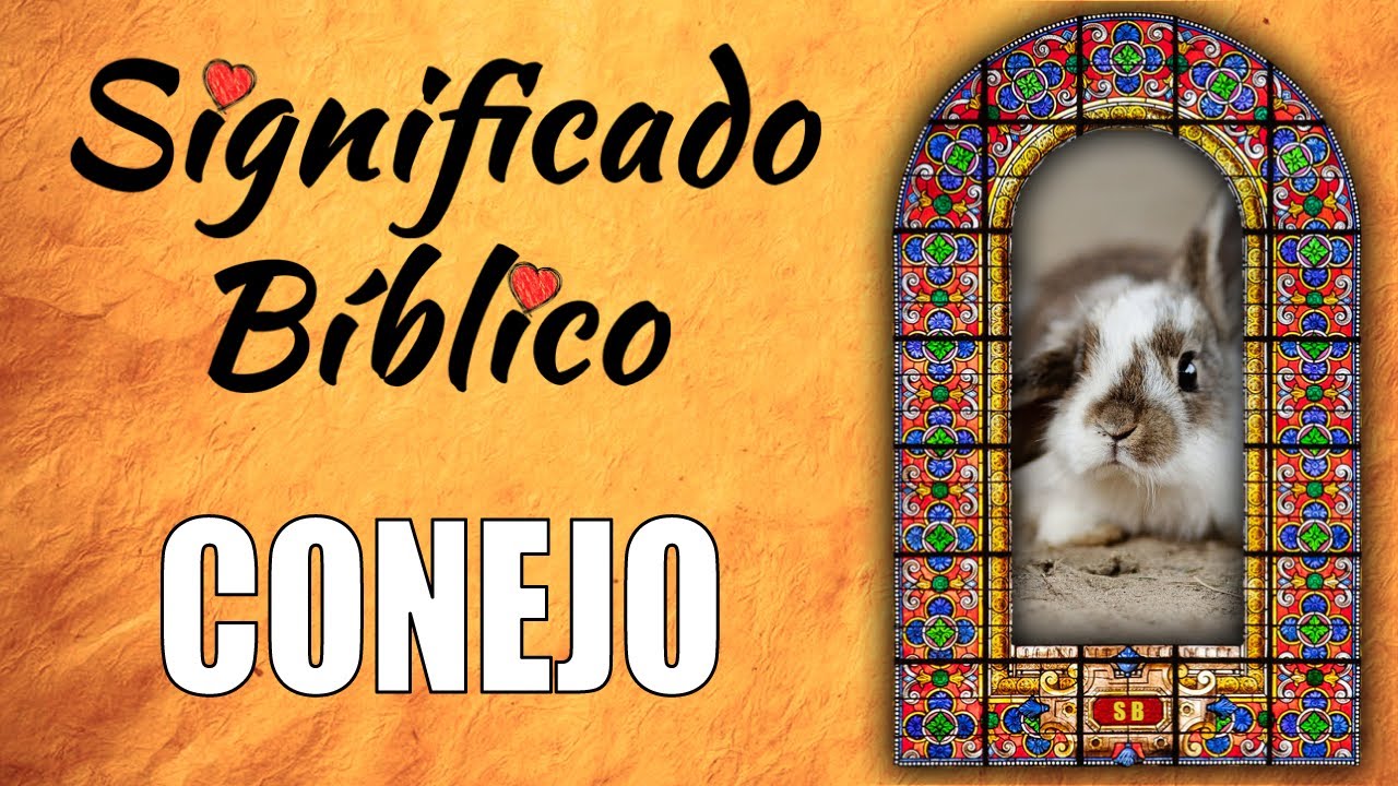 que significa el conejo en la biblia