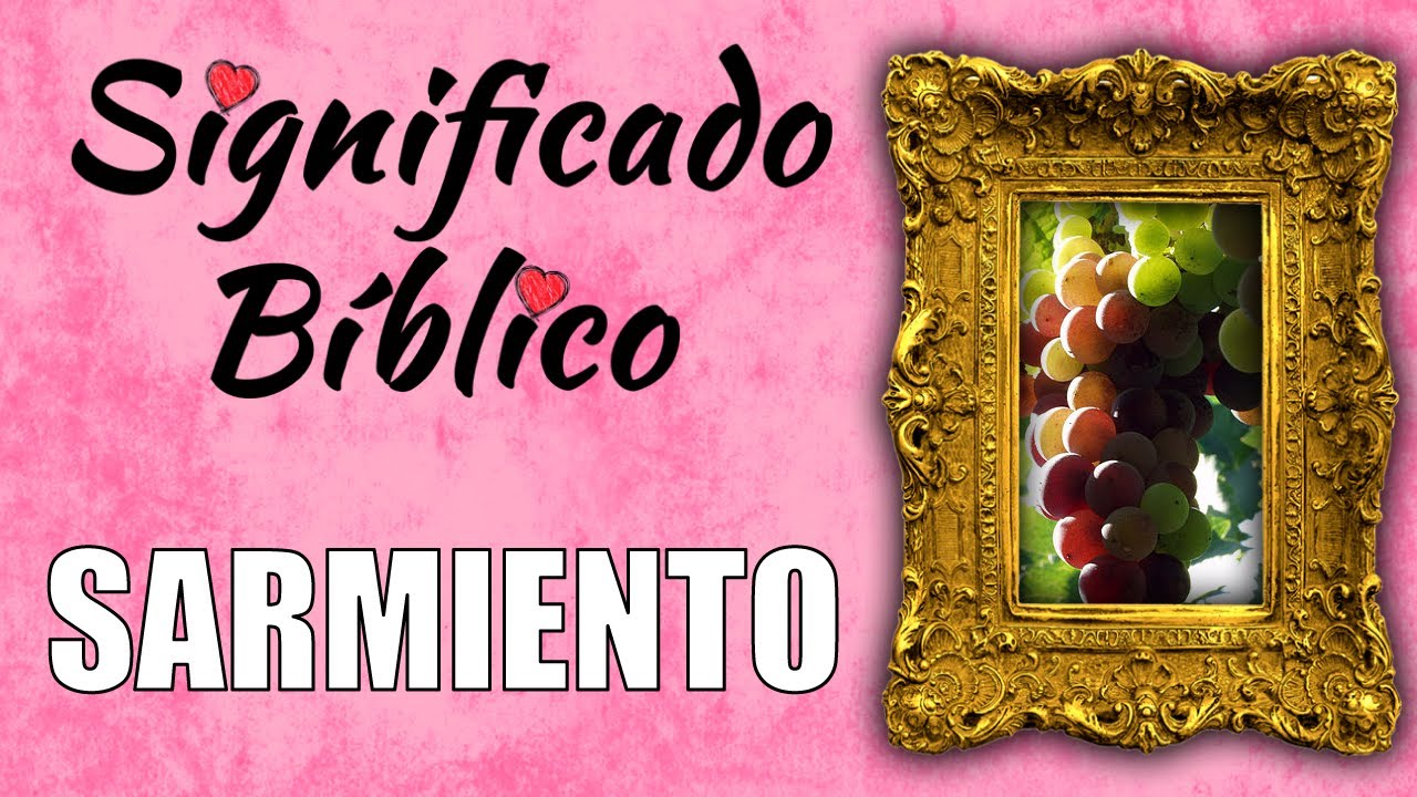 qué significa la palabra sarmiento en la biblia