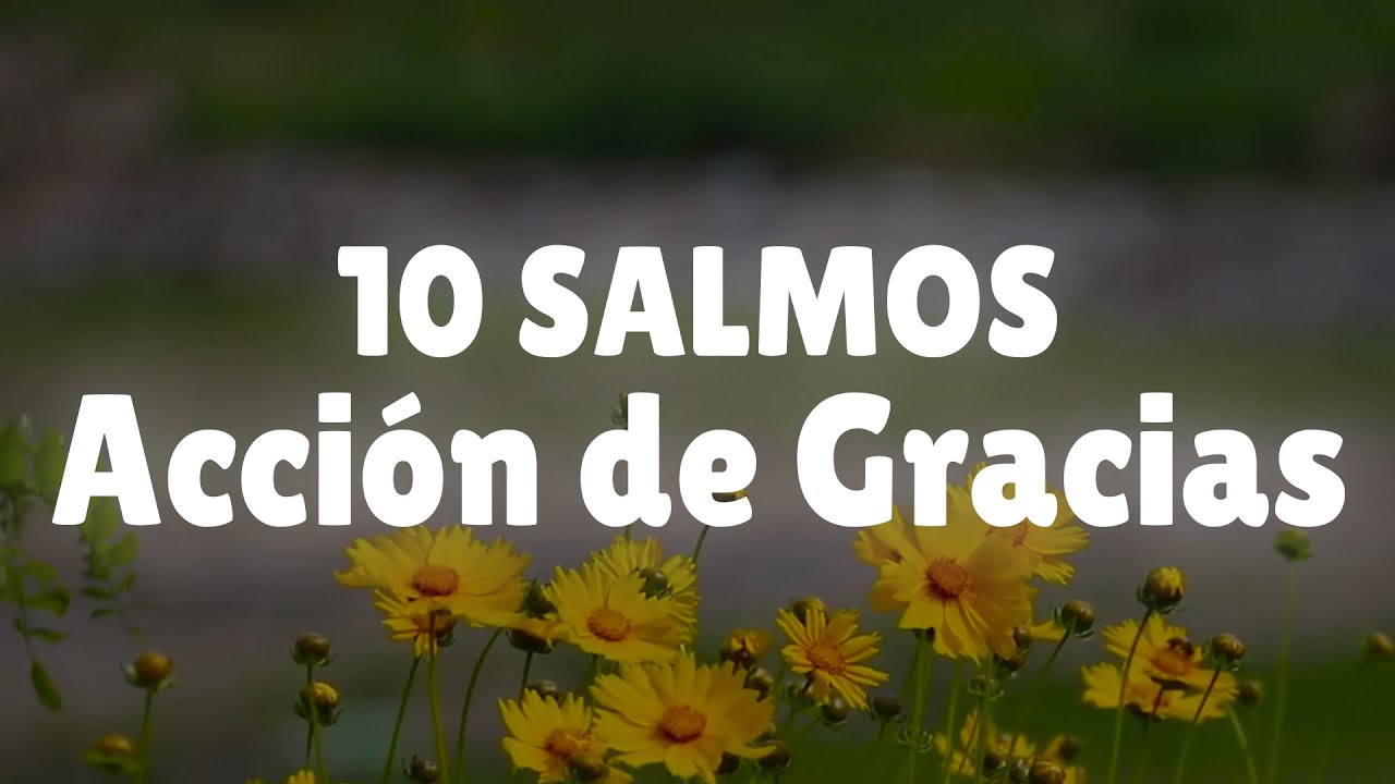 salmos de accion de gracias en la biblia