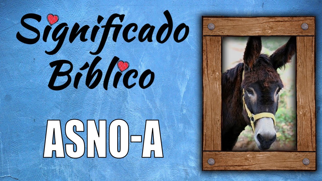 significado de asno en la biblia