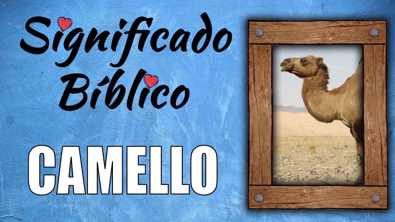 significado de camello en la biblia