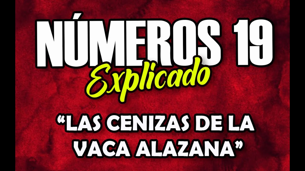 significado del número 19 en la biblia