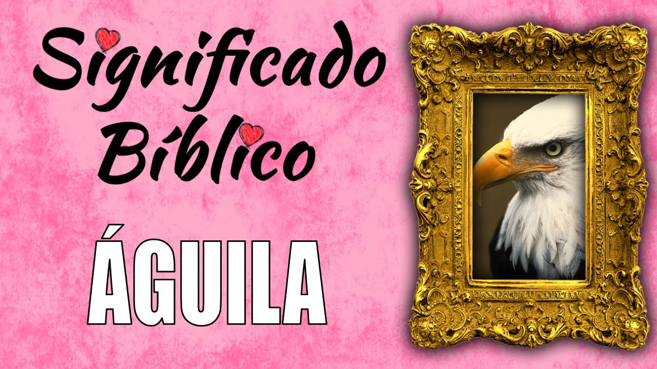 caracteristicas del aguila en la biblia