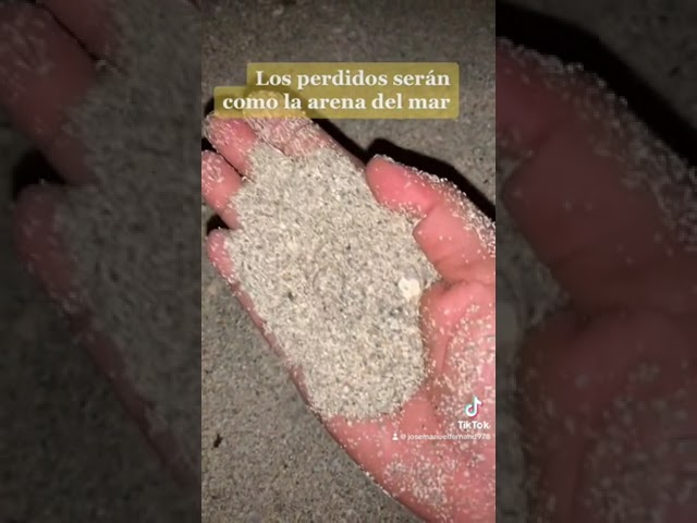 como la arena del mar biblia