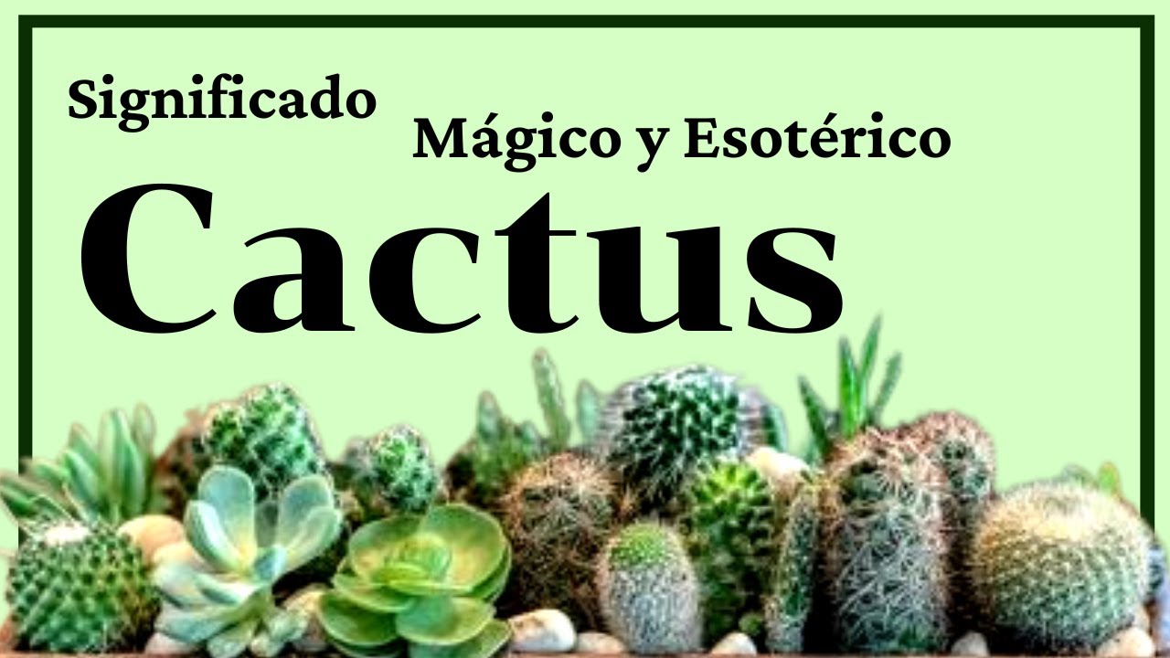 palabra cactus en la biblia