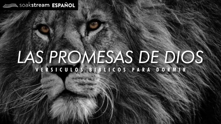 Las Promesas de Jesús en la Biblia: Descubre Su Significado y ...