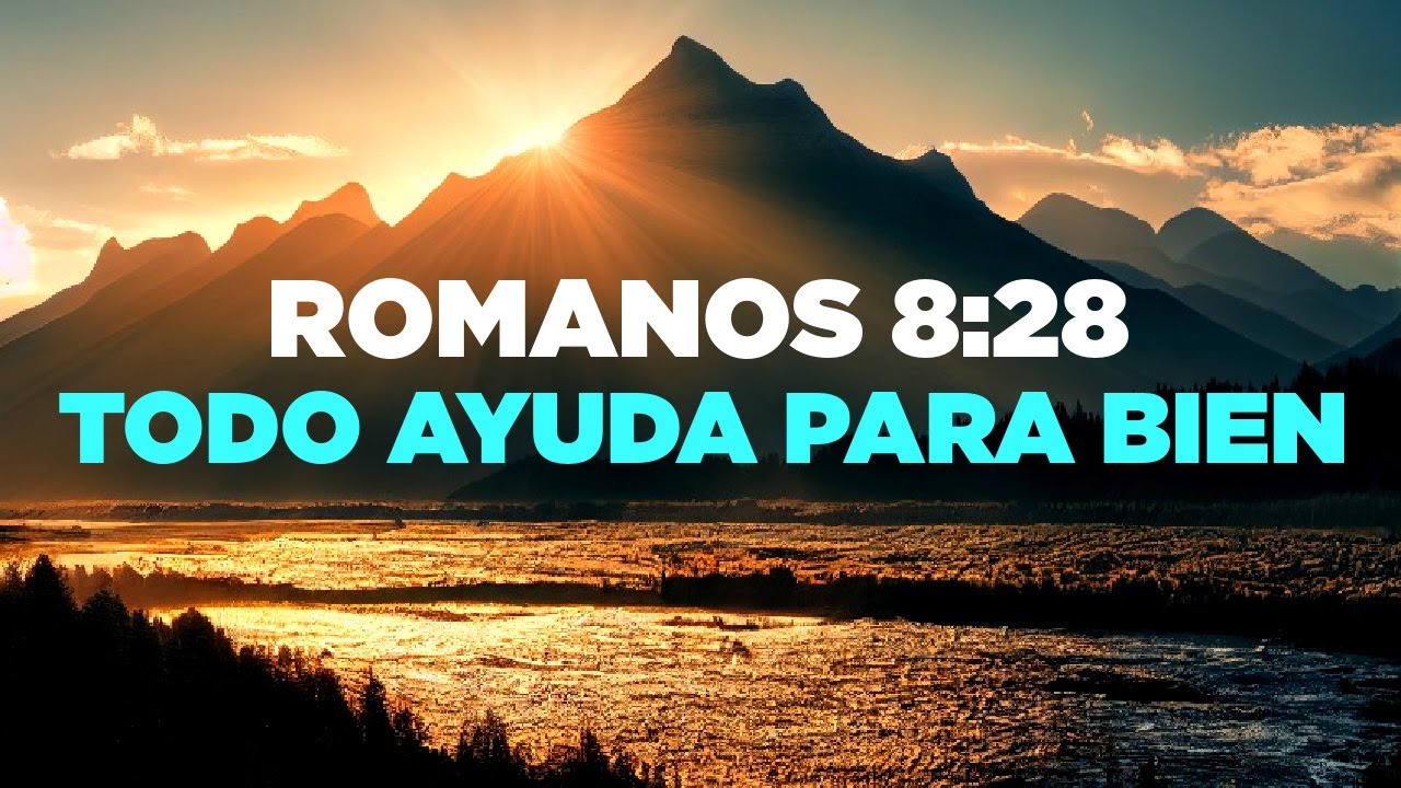 romanos 8 28 biblia catolica