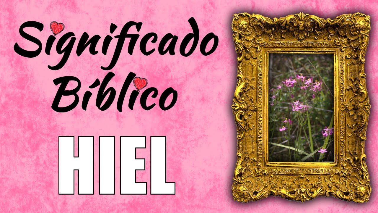 significado de hiel en la biblia