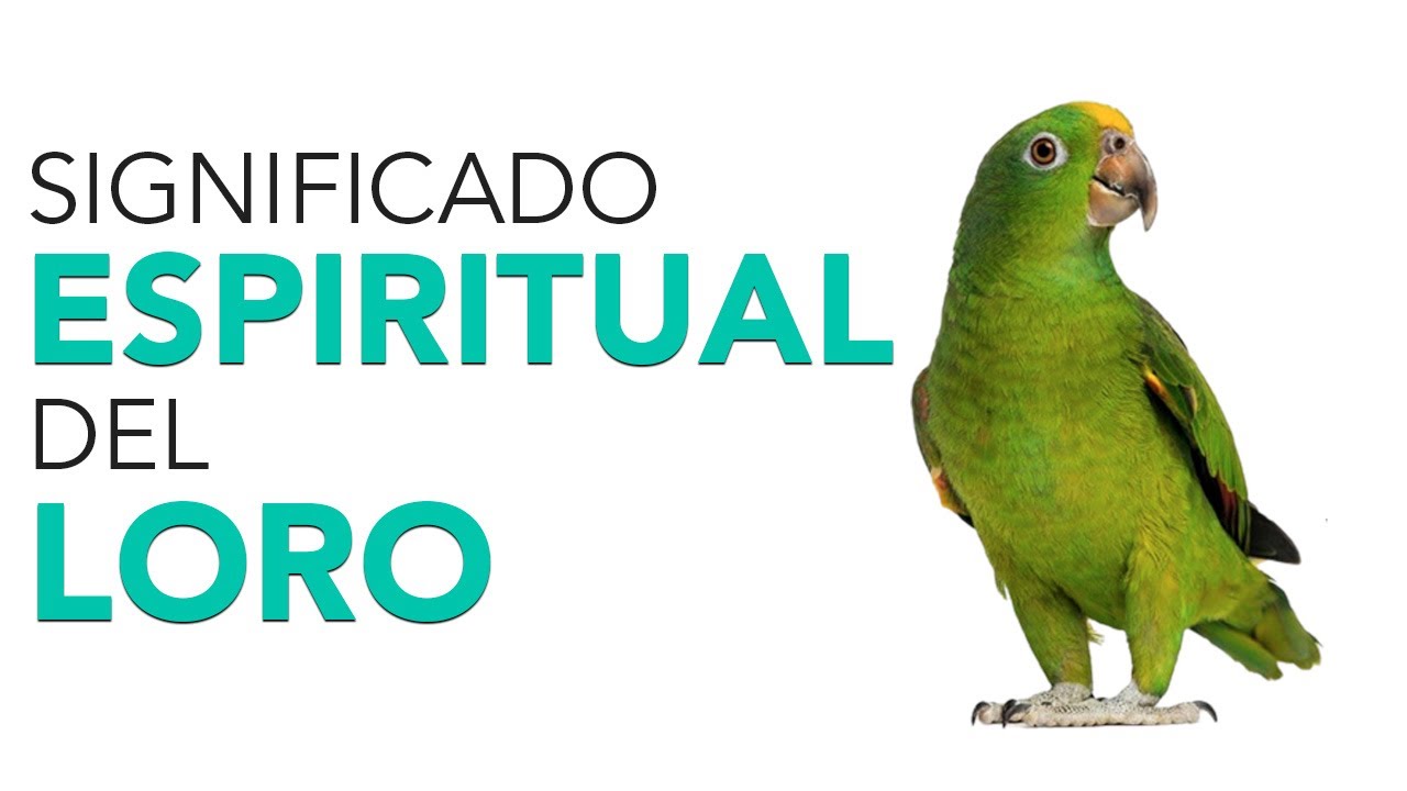 significado de loro en la biblia