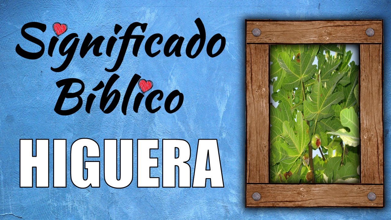 cuál es el significado de la higuera en la biblia
