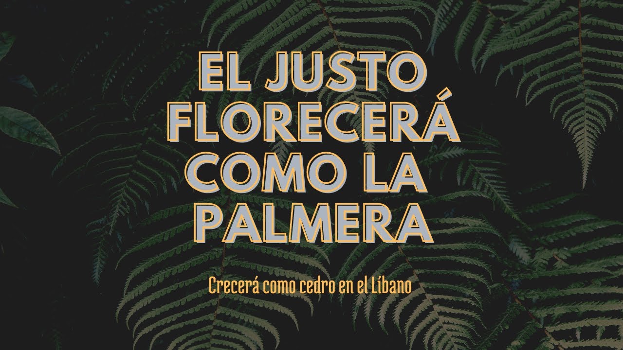 el justo florecera como la palmera biblia