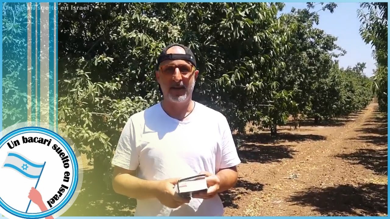 flor de almendro en la biblia