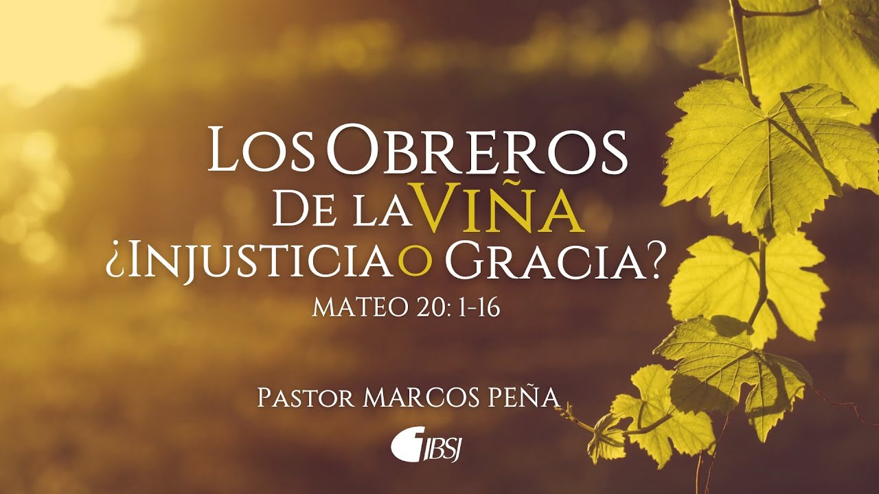 hay de todo en la viña del señor biblia