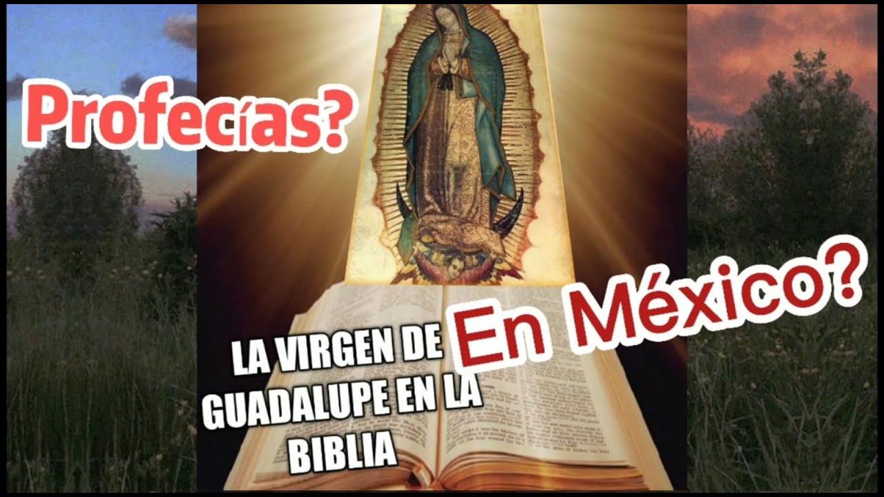 la biblia habla de la virgen de guadalupe