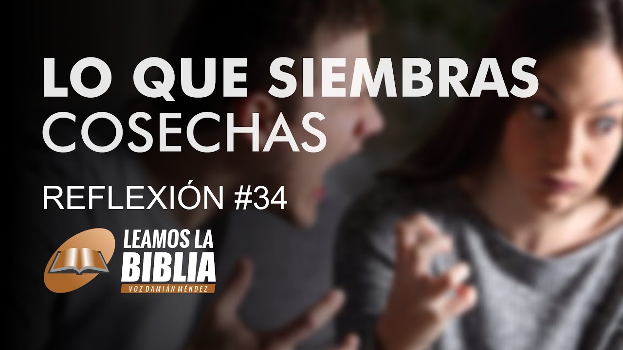 lo que siembras cosechas biblia
