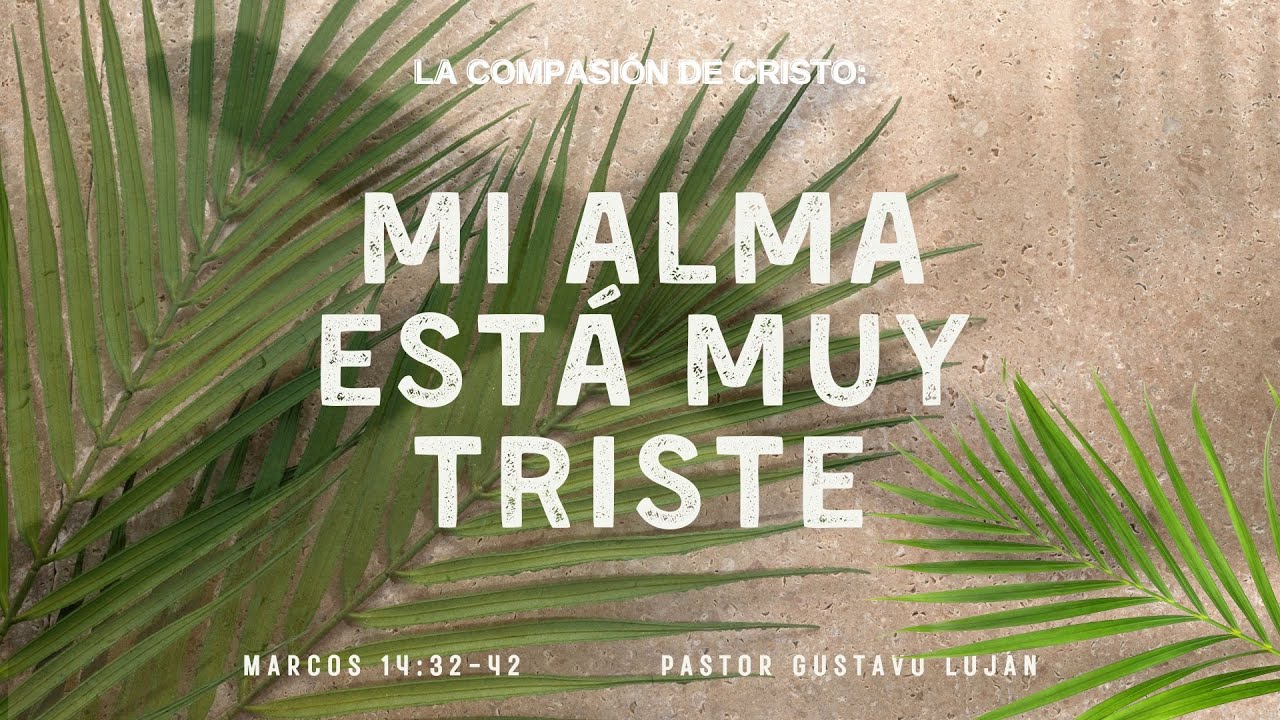 mi alma esta triste biblia