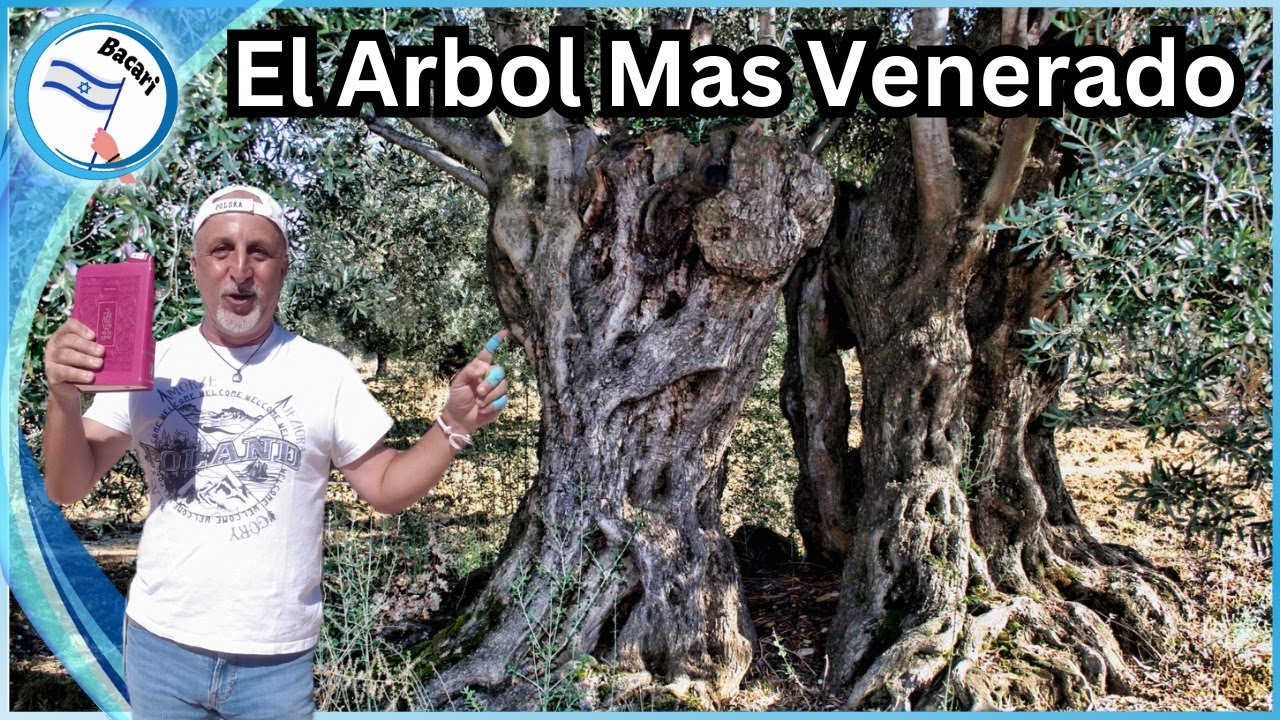 monte de los olivos biblia