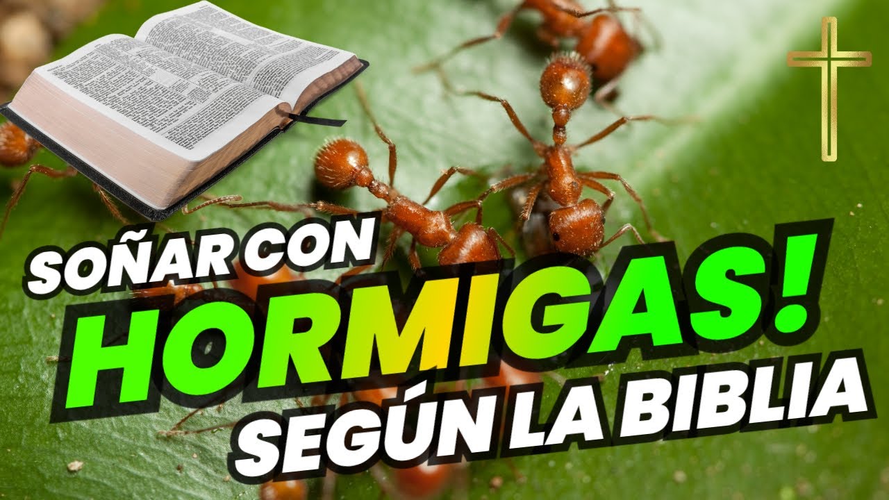 que significa soñar con hormigas segun la biblia